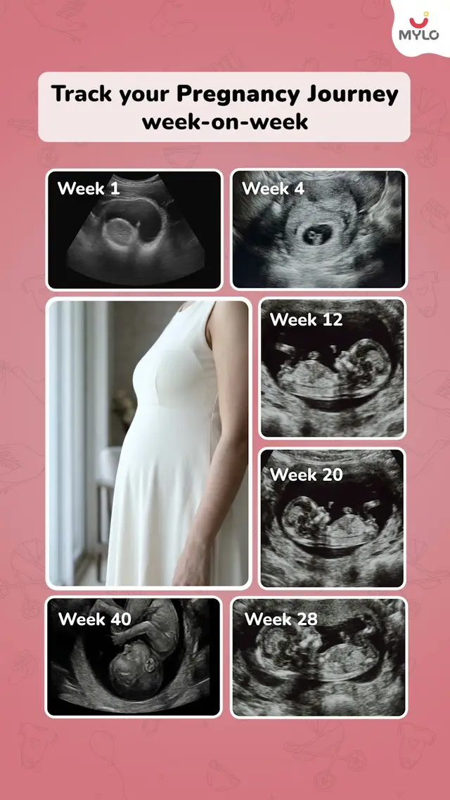Mylo video ad