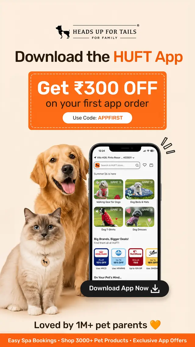 Heads Up For Tails image ad